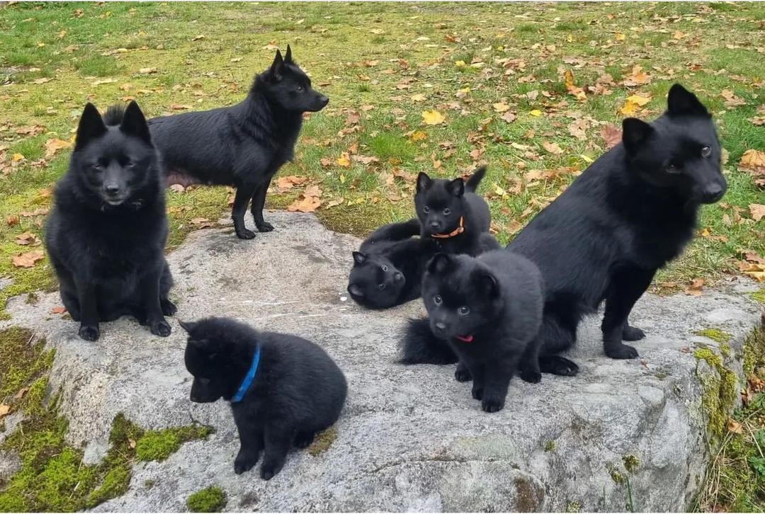 08dac703 36d4 4c8b 8e79 07f66fd789c9