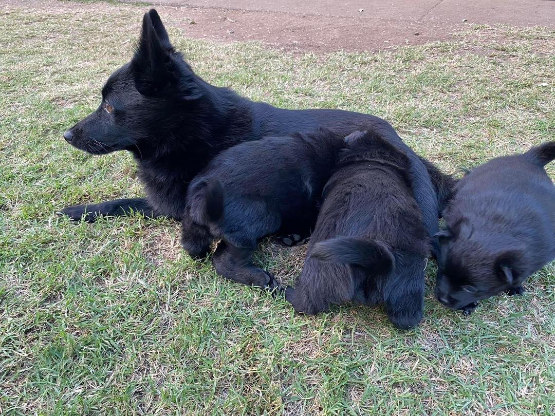 15e86279 1104 4afc A05d 593e54108849