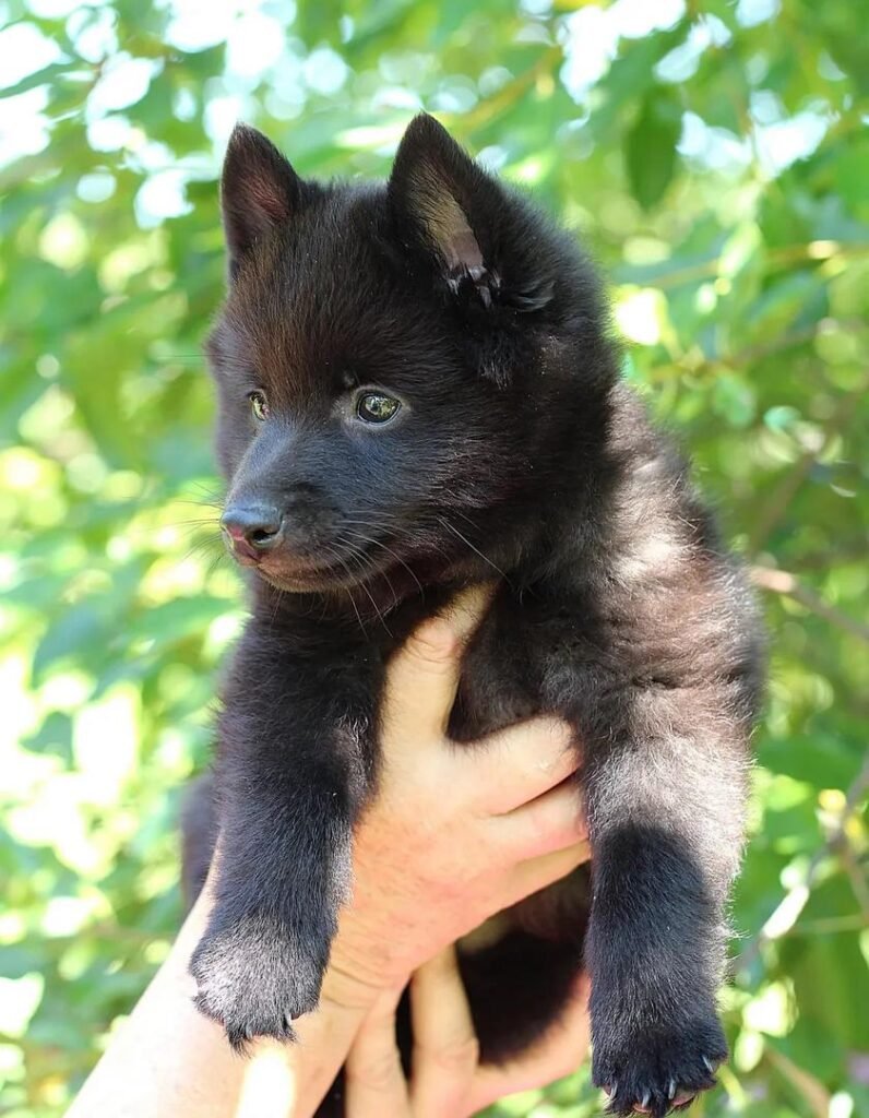 51da679d 85e0 466d 8ee7 160ac173bc68