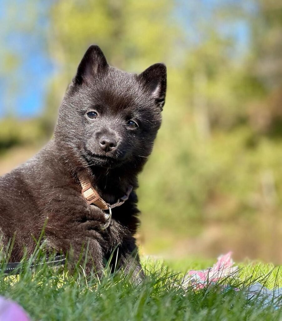 6464cc94 6953 420f 8506 9a872a0e3ebe