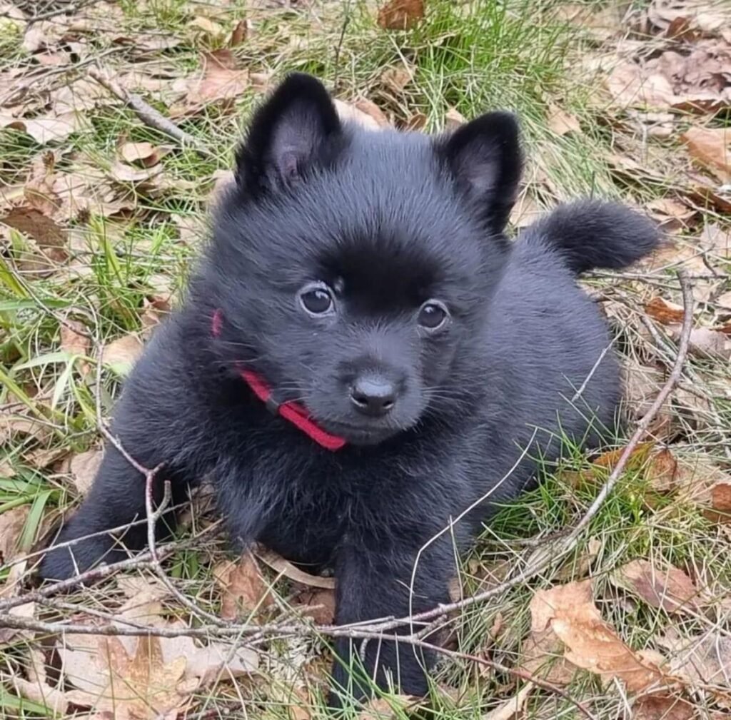 66b0ad67 b6e5 45d9 8e2d 62f1101cbb25 (1)