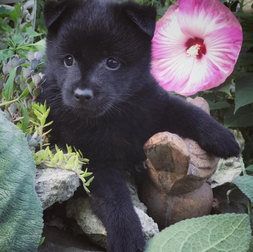 6eb0f114 de03 416f bbeb c14d13a3196a