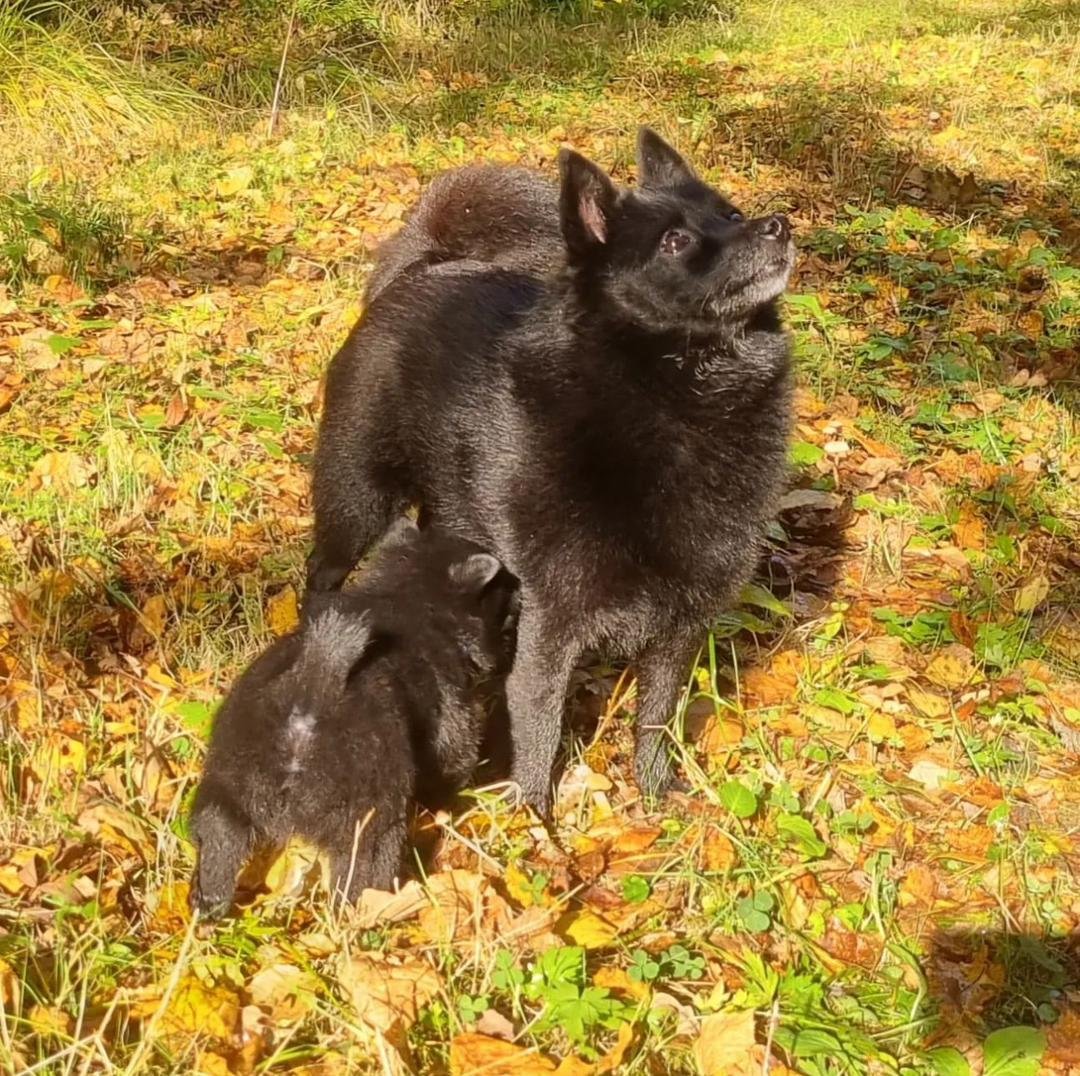 77a7c211 69c3 446d 99c2 0c4f26494e87