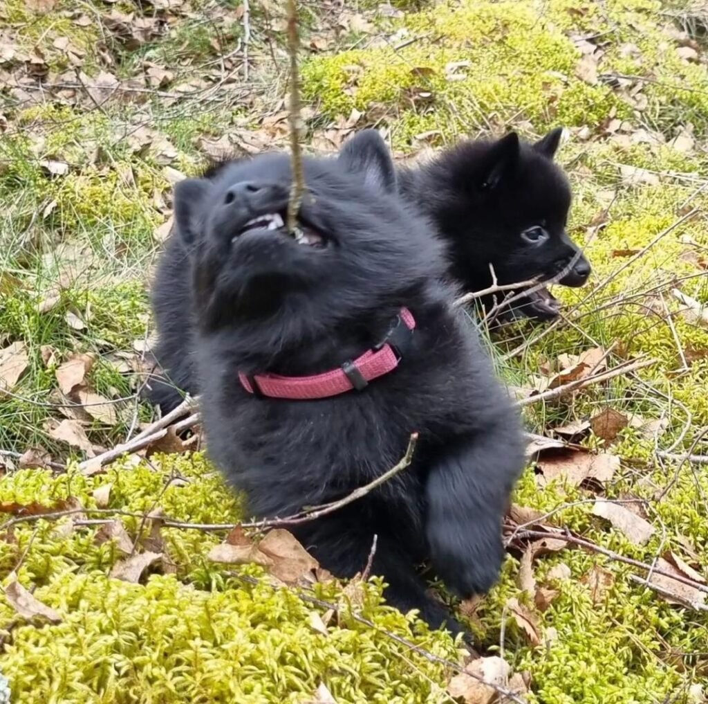 791e1162 b814 48e3 9123 676719121145 (1)